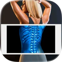 Xray Body Scanner